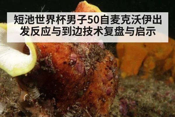 短池世界杯男子50自麦克沃伊出发反应与到边技术复盘与启示